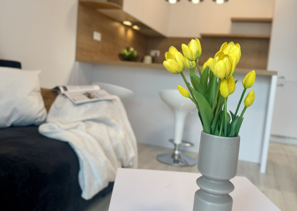 VALEN | Moderný 1-izbový byt na prenájom v novostavbe NUPPU